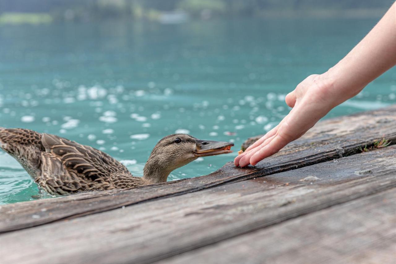 Die Weisse Wand Weissensee Eksteriør billede