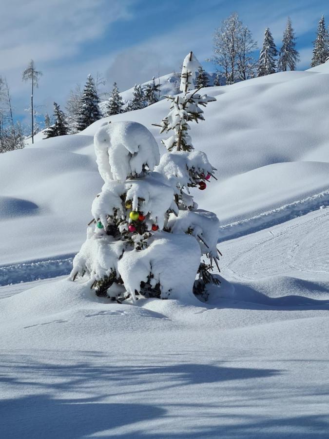 Die Weisse Wand Weissensee Eksteriør billede